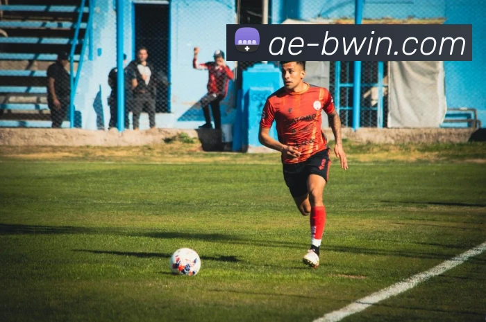 BWIN官网发展历程